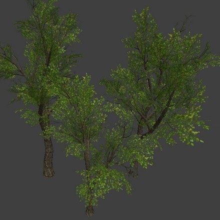 3 Low Poly Trees preview image 1